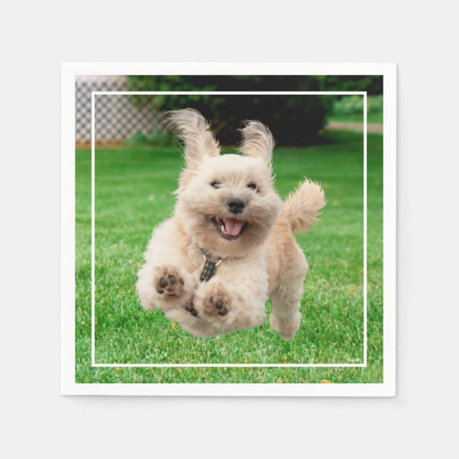 Dog Running In Yard Napkin (Front)