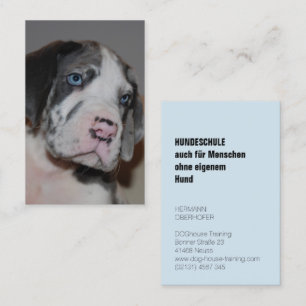 Dog School Business Cards