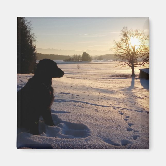 Dog Silhouette in Snowy Landscape Magnet (Front)
