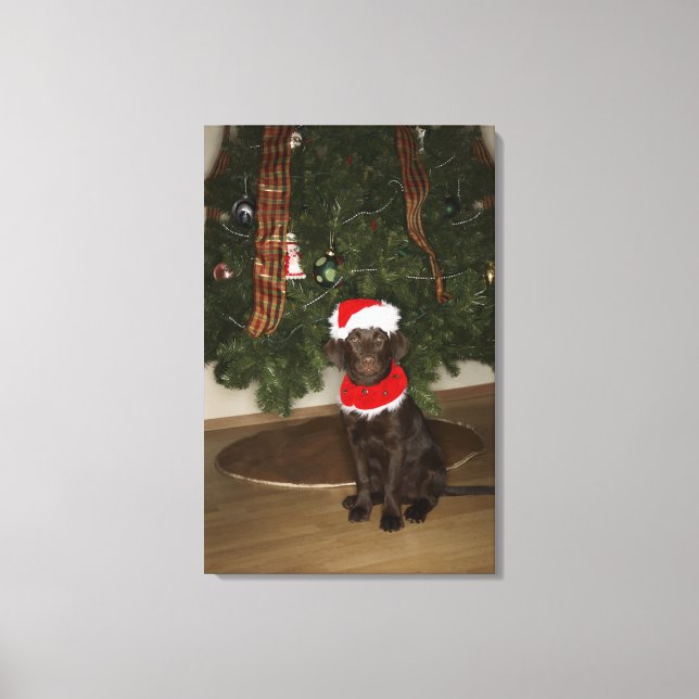 Dog sitting by a Christmas tree Canvas Print (Front)