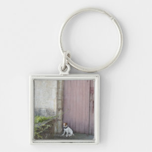 Dog sitting in front of closed doors key ring