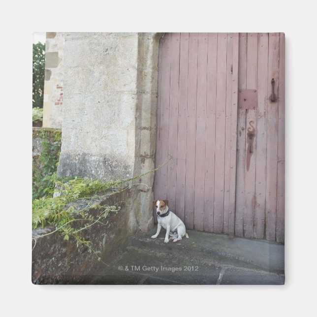 Dog sitting in front of closed doors magnet (Front)