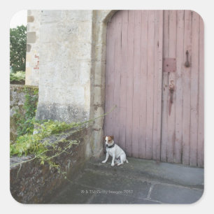 Dog sitting in front of closed doors square sticker