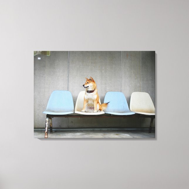 Dog sitting on bench canvas print (Front)
