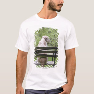 Dog sitting on park bench T-Shirt