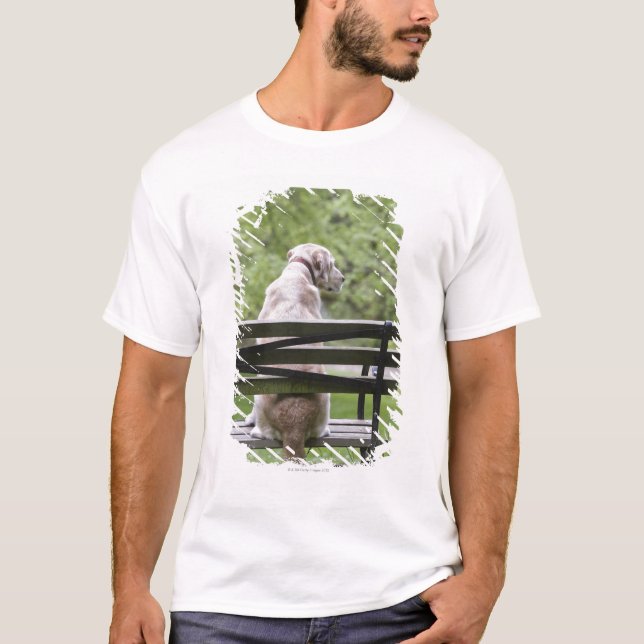 Dog sitting on park bench T-Shirt (Front)