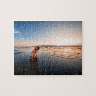 Dog sitting on the beach jigsaw puzzle