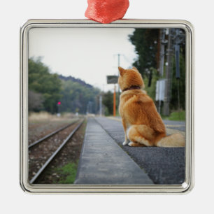 Dog sitting on train station metal tree decoration