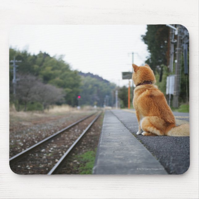 Dog sitting on train station mouse pad (Front)