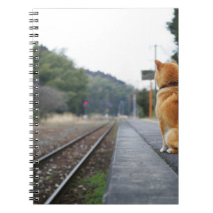 Dog sitting on train station spiral notebook