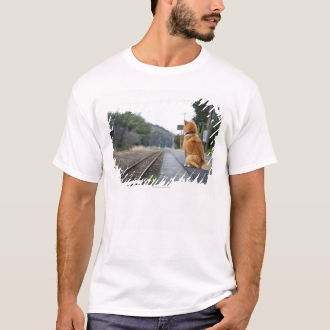 Dog sitting on train station T-Shirt (Front)