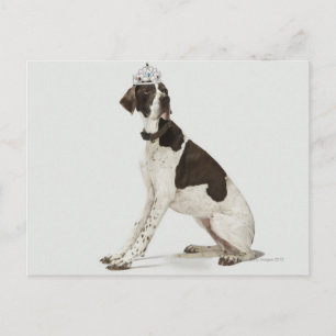 Dog sitting with a tiara on head postcard