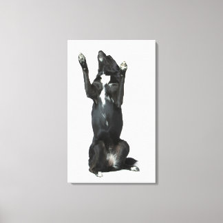 Dog sitting with paws up canvas print