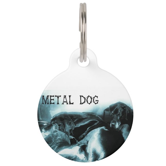 dog size pet tag (Front)