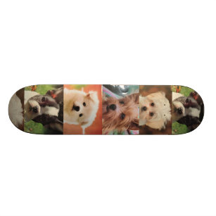 Dog skateboard