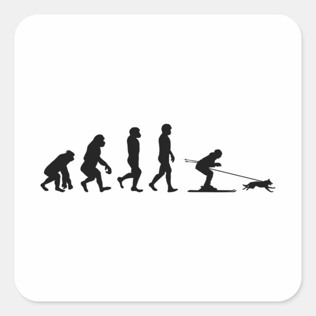 Dog Skijoring Extreme Winter Sport Ski Evolution Square Sticker (Front)