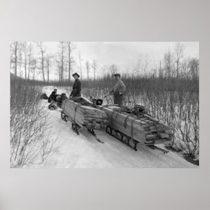 Dog Sled Delivery: 1900 Poster