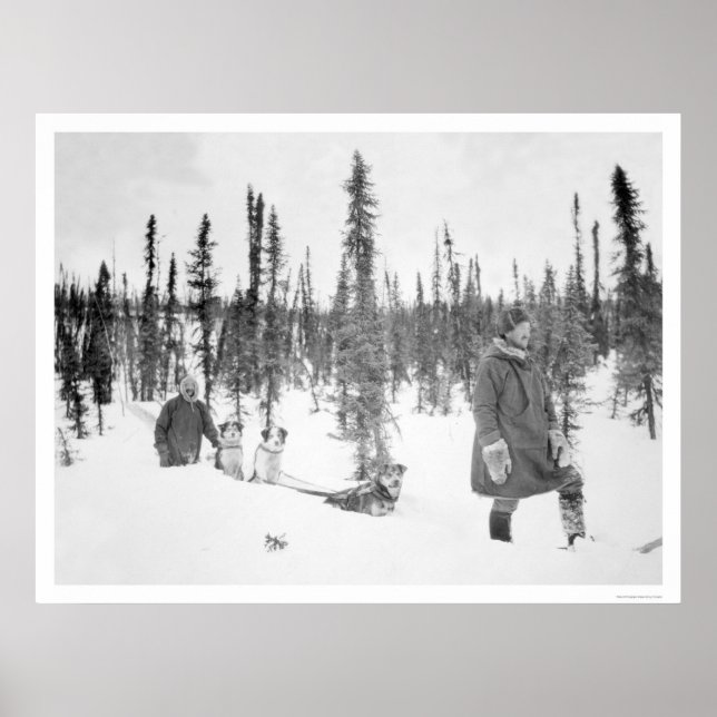 Dog Sled Men Fairbanks 1920 Poster (Front)