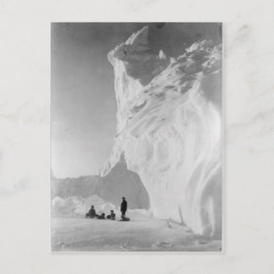 Dog Sled Team Resting by Iceberg Postcard