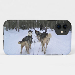 Dog Sledding in Quebec, Canada Case-Mate iPhone Case
