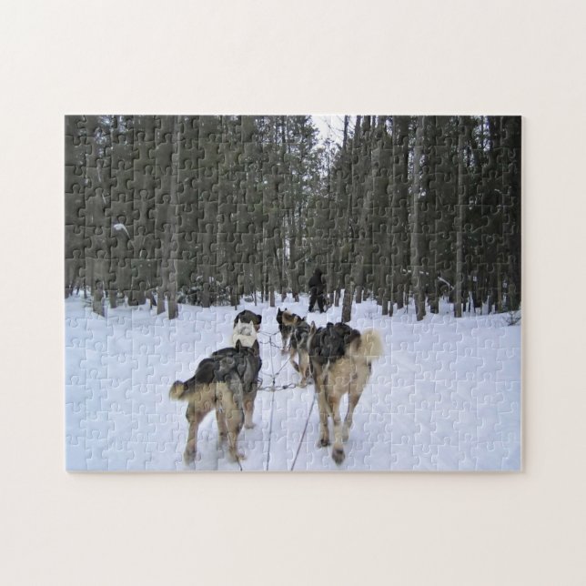 Dog Sledding in Quebec, Canada Jigsaw Puzzle (Horizontal)