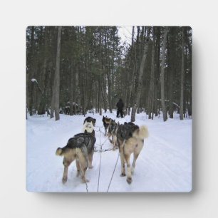Dog Sledding in Quebec, Canada Plaque