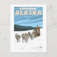 Dog Sledding Scene - Cordova, Alaska