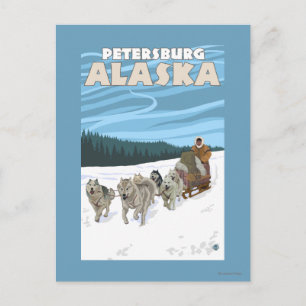 Dog Sledding Scene - Petersburg, Alaska Postcard