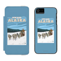 Dog Sledding Scene - Seward, Alaska
