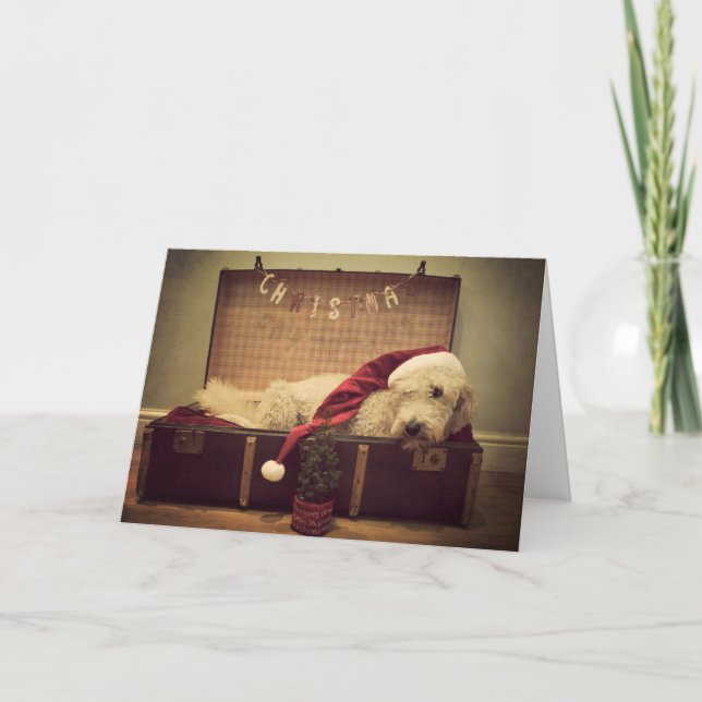 Dog sleeping in suitcase holiday card (Front)
