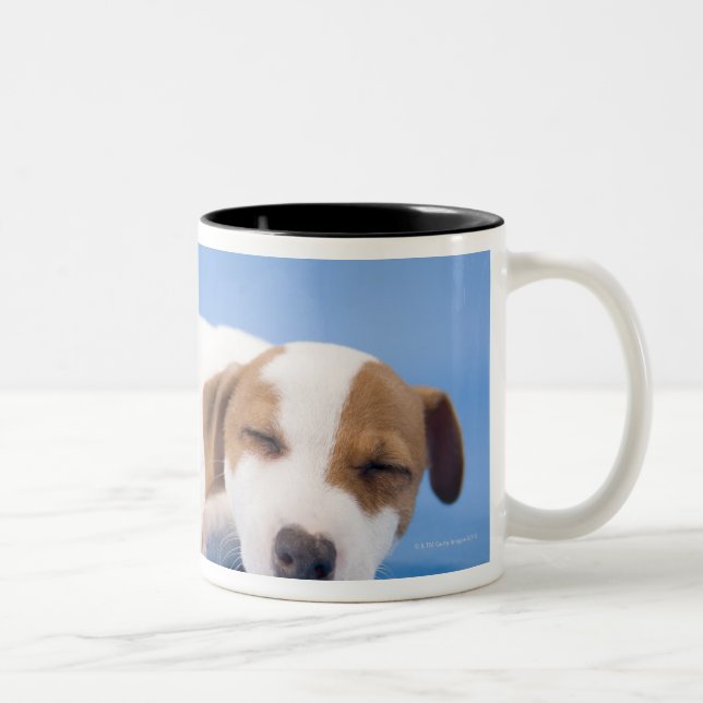 Dog sleeping Two-Tone coffee mug (Right)