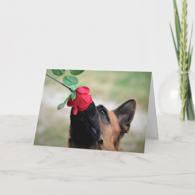 Dog Smelling a Rose Holiday Card (Front)