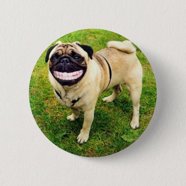 dog smile pug cute 6 cm round badge (Front)