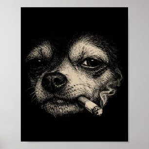 Dog smoking cigarette funny chihuahua meme  poster