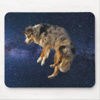 Dog Space Jumping Australian Shepherd