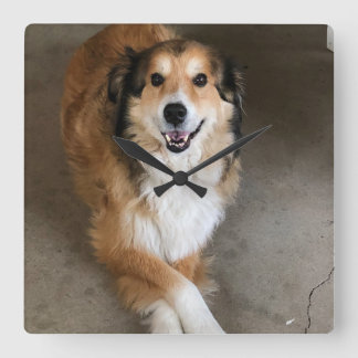 Dog Square Wall Clock