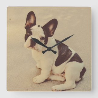 Dog Square Wall Clock