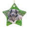 Dog star ornament