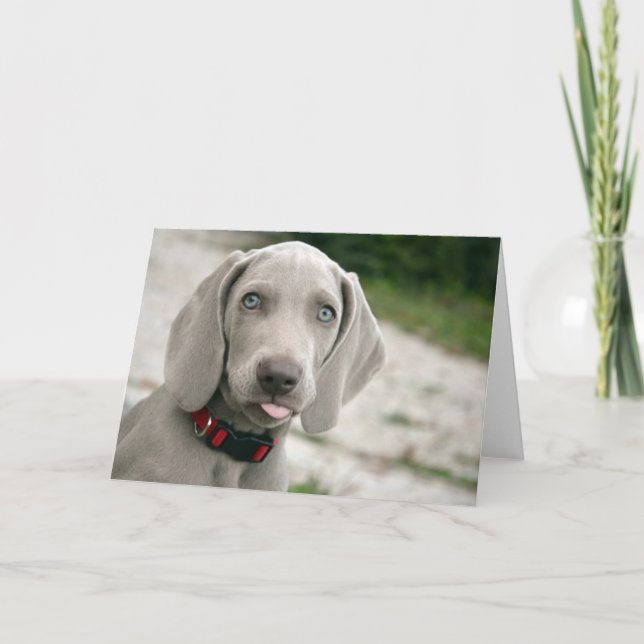 Dog sticking tongue out card (Front)