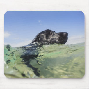 Dog swimming in water mouse pad