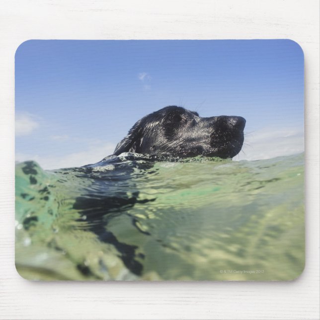 Dog swimming in water mouse pad (Front)