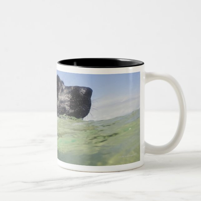 Dog swimming in water Two-Tone coffee mug (Right)