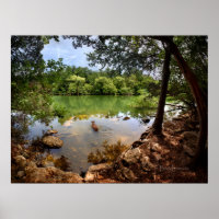 Dog Swimming Ladybird Lake 2 - Austin Texas
