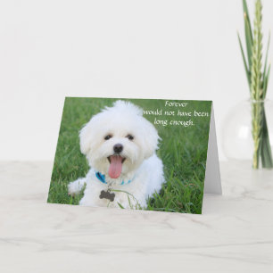 Dog Sympathy Card for Loss Memorial with photo