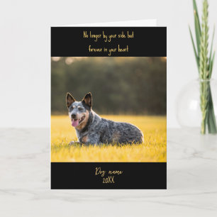 Dog Sympathy Card for Loss Memorial with photo