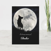 Dog Sympathy German Shepard Type Dog Breed 