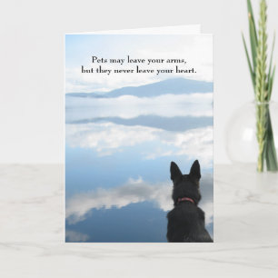 Dog Sympathy - Pets May Leave Your Arms Card