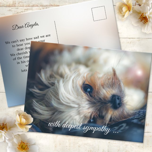 Dog Sympathy Postcard (Postcard featuring an image of a dog in a dreamy light. Use a custom photo for sympathy greetings)