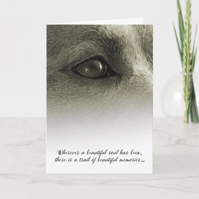 Dog Sympathy Wherever a Beautiful Soul has Been Card (Front)