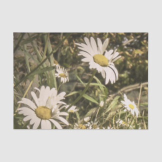 Dog Sympathy with Yellow Daisies Tissue Paper